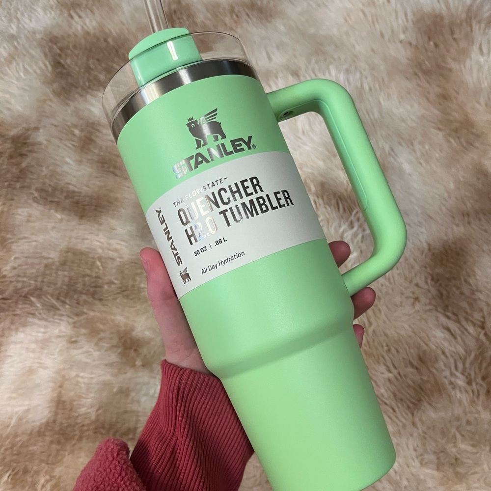 TARGET HEATHER GREEN STANLEY TUMBLER 30oz